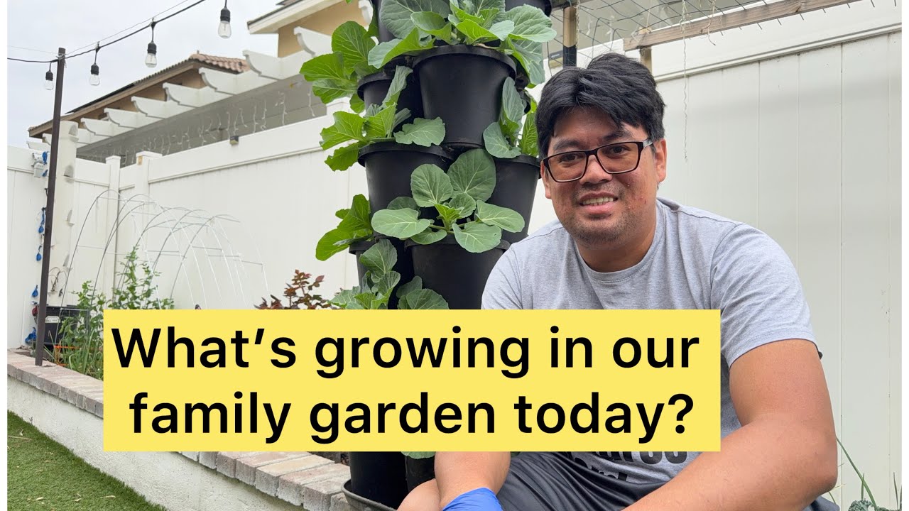 February Garden Tour 2026 🌿 Family Harvest & What’s Growing