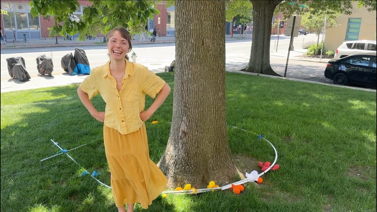 Sophia's Judy Blue Eyes - Crosby, Stills & Nash