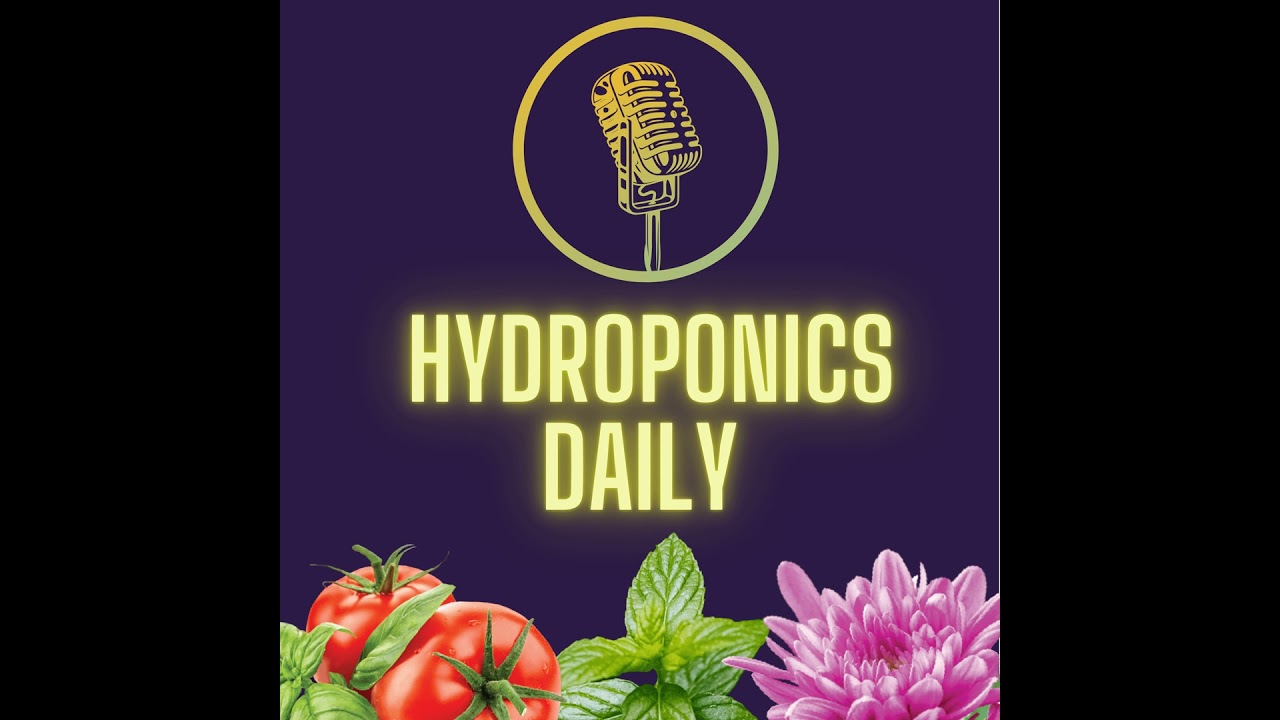 Hydroponics Wrapped 2025: Triumphs & Tough Lessons
