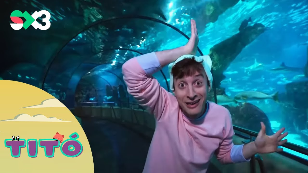 Excursió amb peixos | Titó