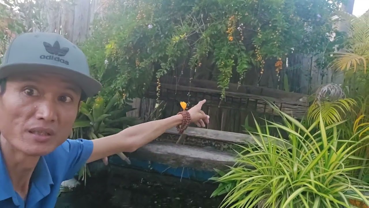 “Sân ga cửa khẩu Thái Lan – vắng lặng giữa biên giới”