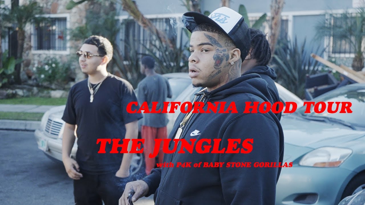 CALIFORNIA HOOD TOUR: ДЖУНГЛИ ЛОС-АНДЖЕЛЕСА (с P4K из BABY STONE GORILLAS)