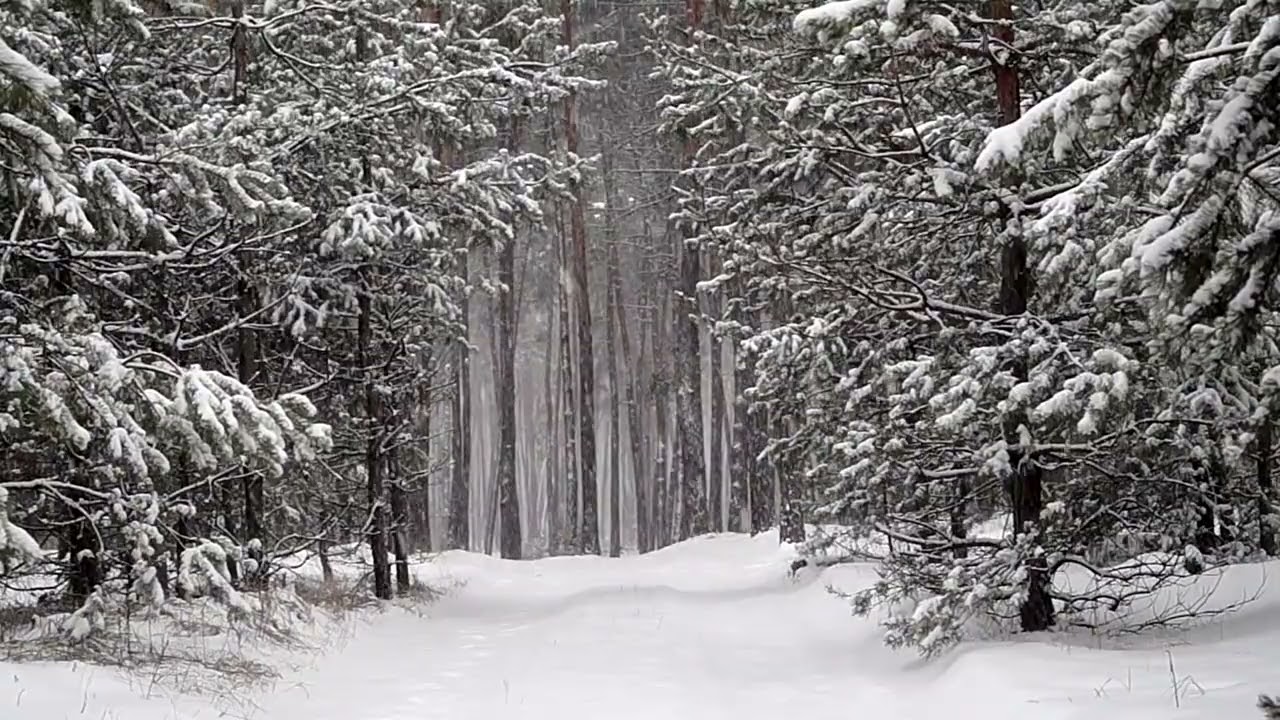 В нашу деревню пришло зло!  Страшные истории 2026. Авторские рассказы!