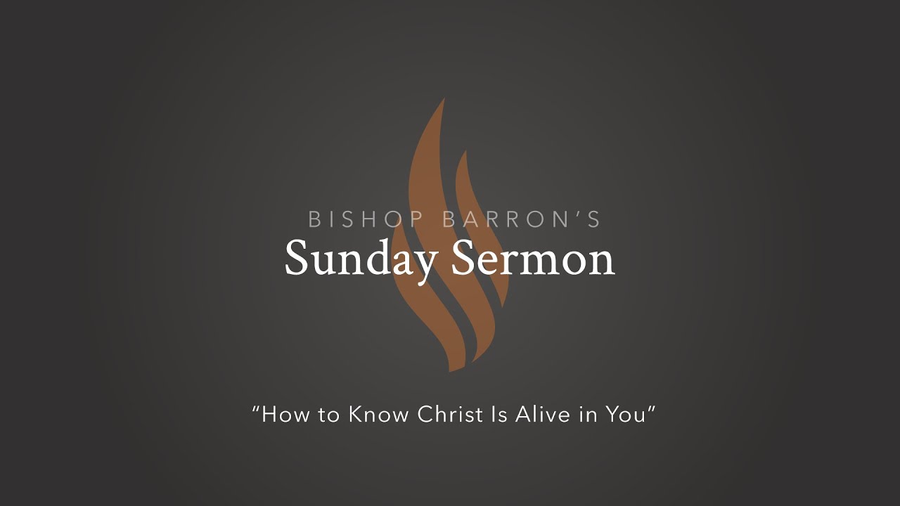 How to Know Christ Is Alive in You — Bishop Barron’s Sunday Sermon