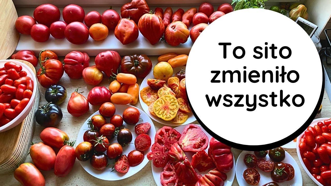 💥Moja REWOLUCJA w Robieniu AKSAMITNYCH Przecierów 🍅 SZYBKO i BEZ WYSIŁKU! Sito przecierowe Kuvings