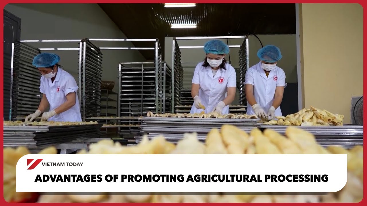 Преимущества развития сельскохозяйственной переработки | Vietnam Today