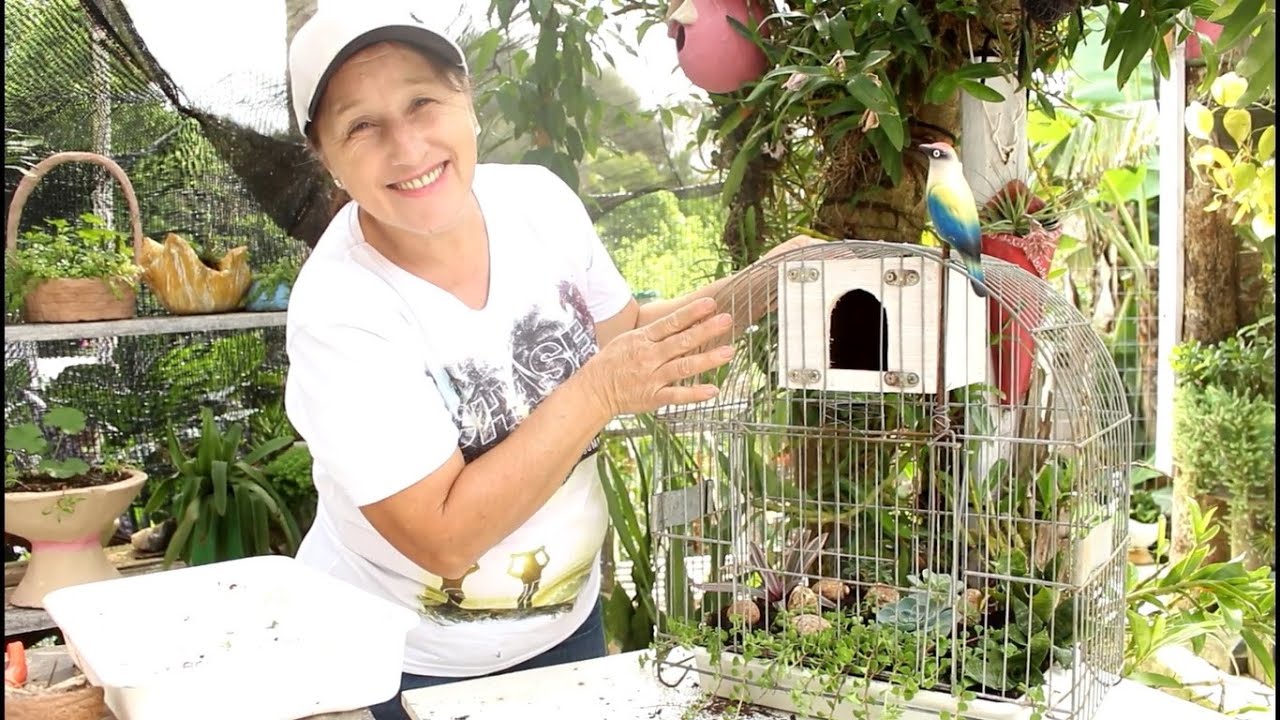 REUTILIZANDO GAIOLAS VELHAS - VOCÊS VÃO AMAR!