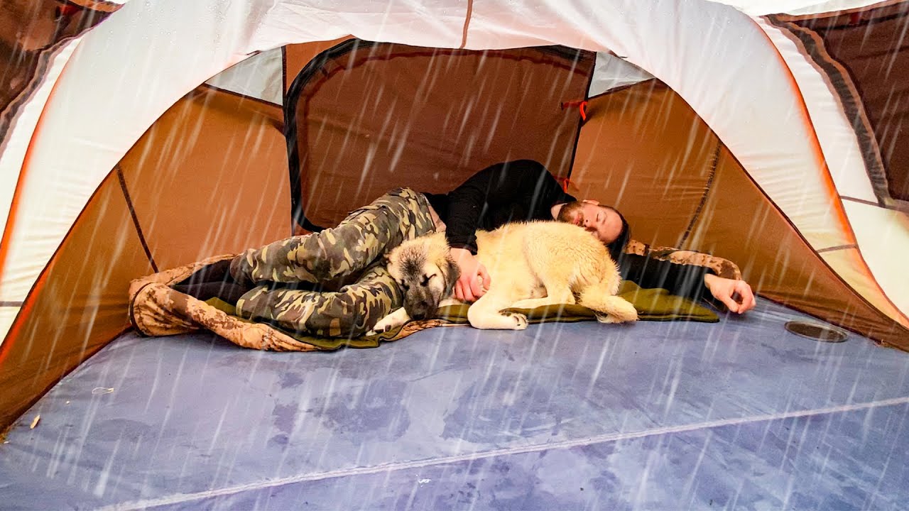 Кемпинг под проливным дождем • Уютный день с собакой, готовка в палатке, расслабляющие звуки дождя