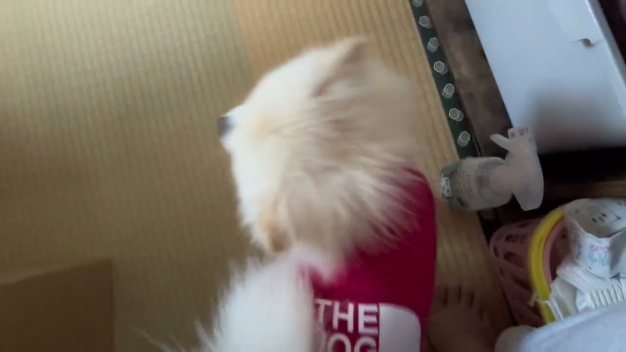 ららの宿敵…かもしれない！