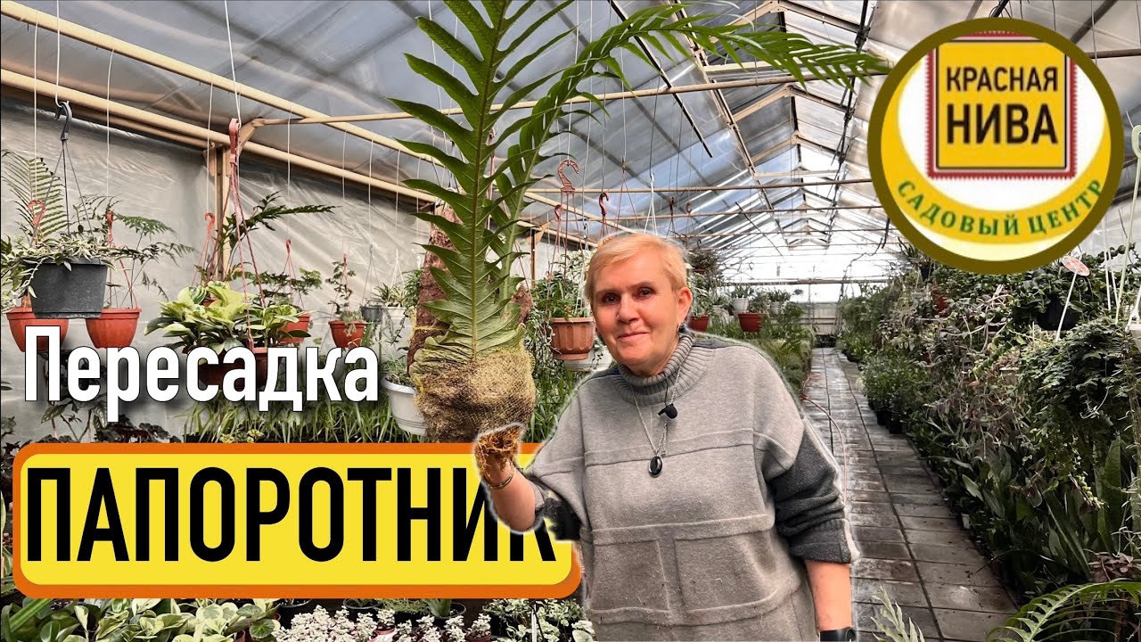 Эльмира Тофиковна и ГИГАНТ!