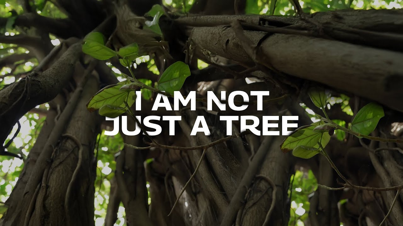 World Environment Day 2025 | Not Just A Tree | Rise For A More Equal World
