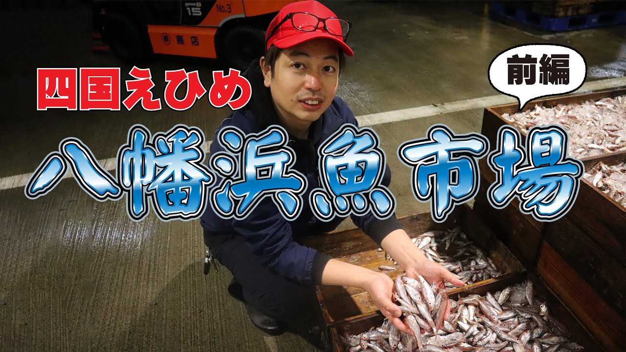 早起きして八幡浜魚市場行ってみたー！ | 前編｜じゃこ天かまぼこの原料|