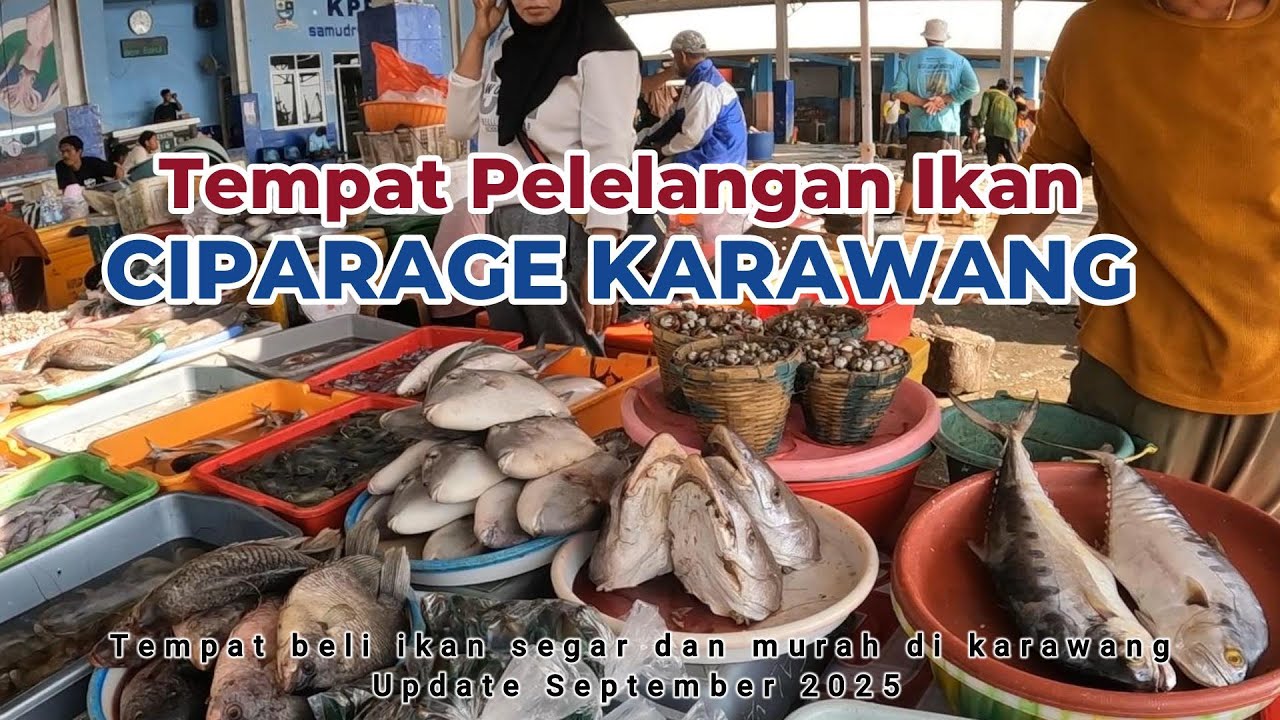 Pantai dan Pelelangan ikan Ciparage Karawang