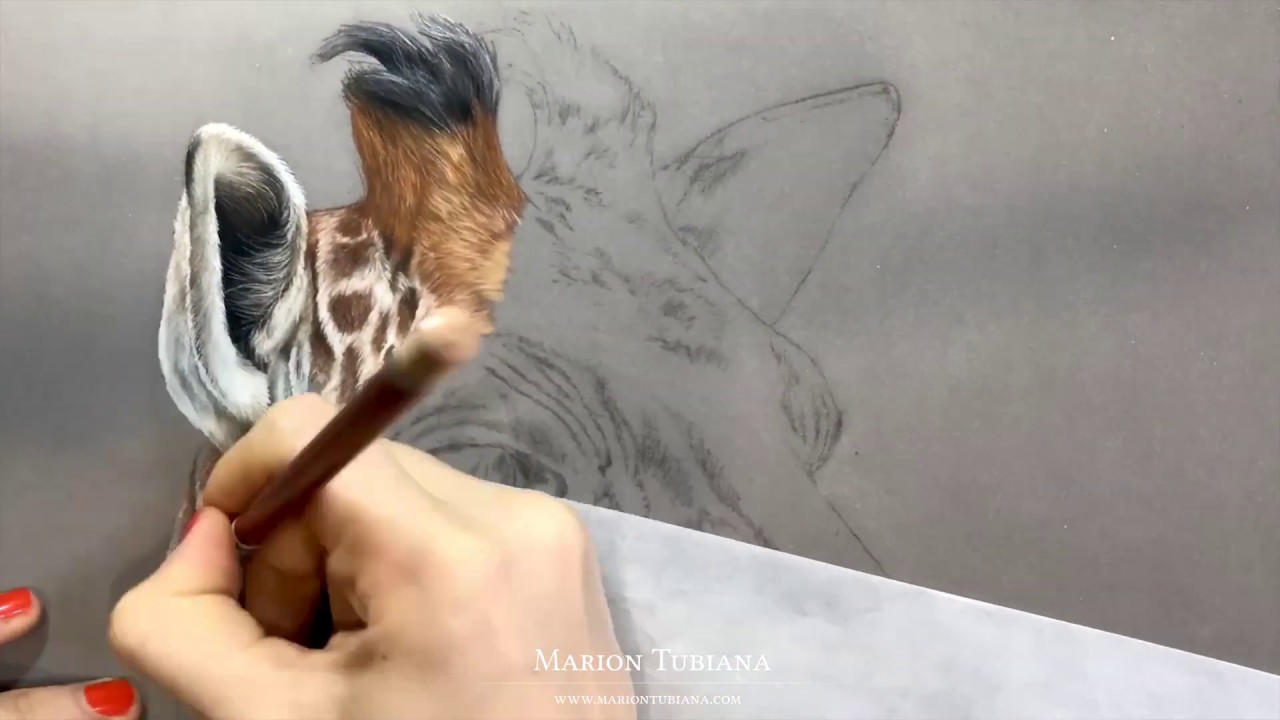 Girafe aux pastels par Marion Tubiana