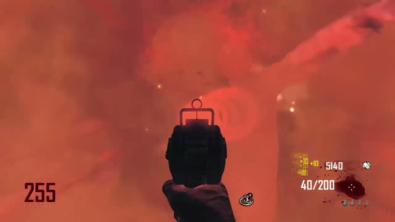 Bo2 round 255 zombies are crazy!