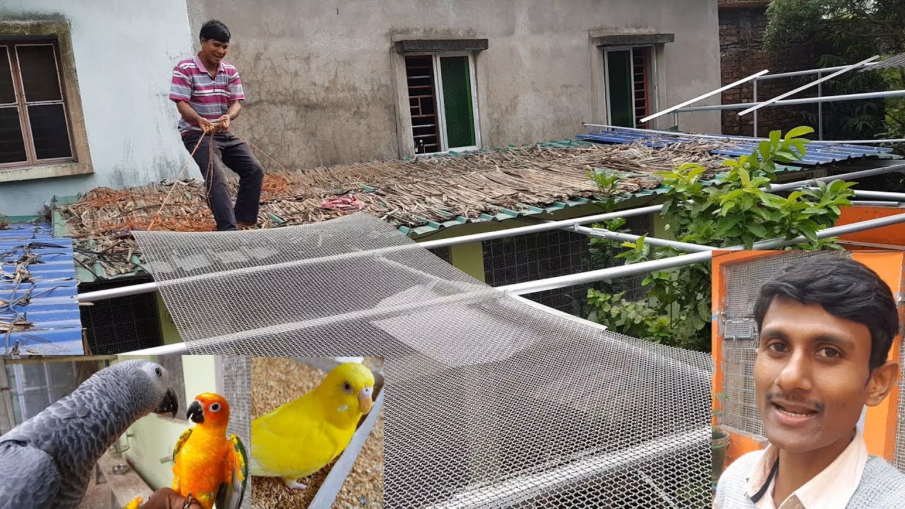 Birds Outdoor Aviary Setup / Bird Farm Aviary Colony New Setup Tips / Bird Parrot Breeding Farm.
