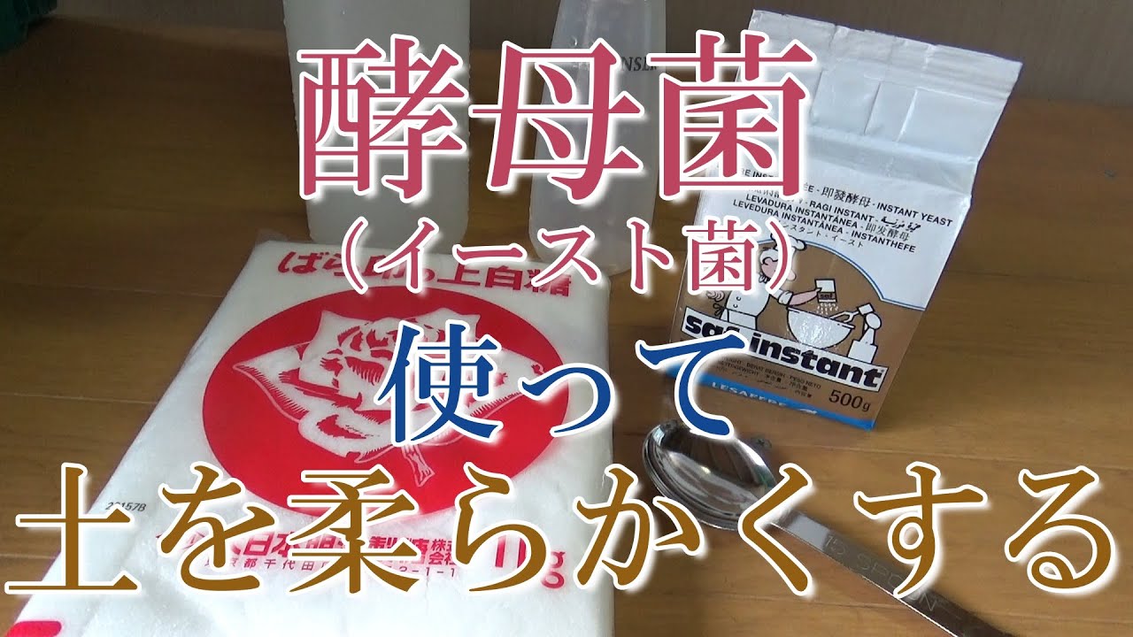固まった土を内からほぐす方法の実験（酵母菌と砂糖で簡単にできる）