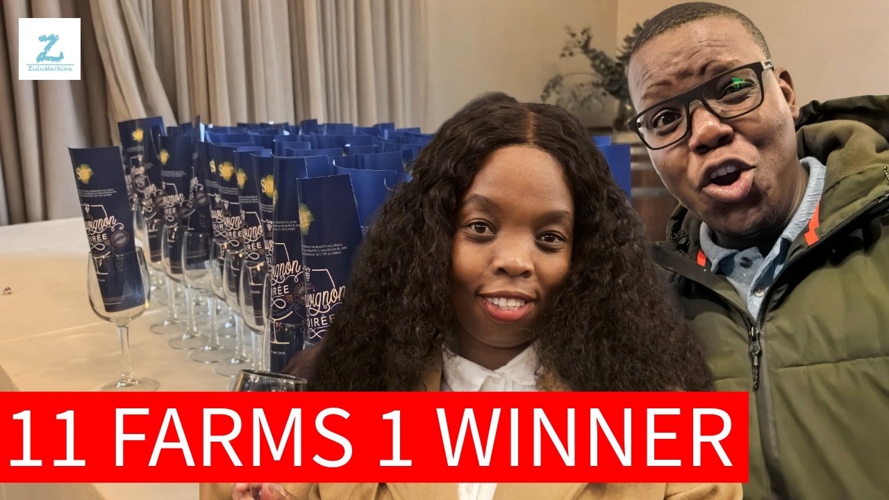 R250 Durbanville Sauvignon Soirée: 11 Wine Farms, Only 1 Winner