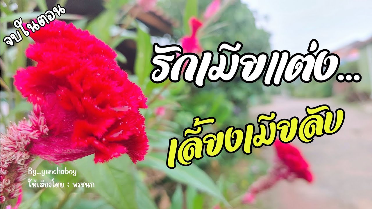 เรื่องสั้น... รักเมียแต่ง เลี้ยงเมียลับ (จบ)