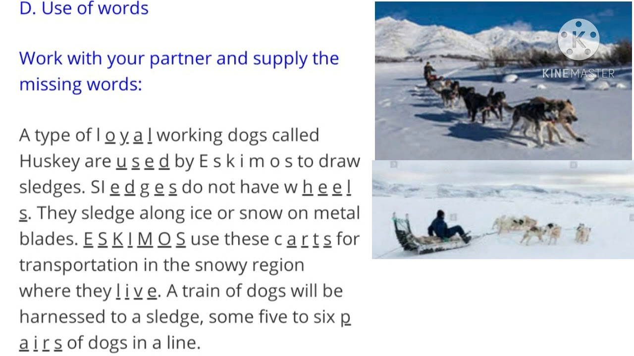 The blind dog, grade - 7, exercise question/answers