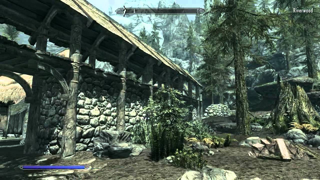 Skyrim - Don't Kill The Sacred Chicken! 