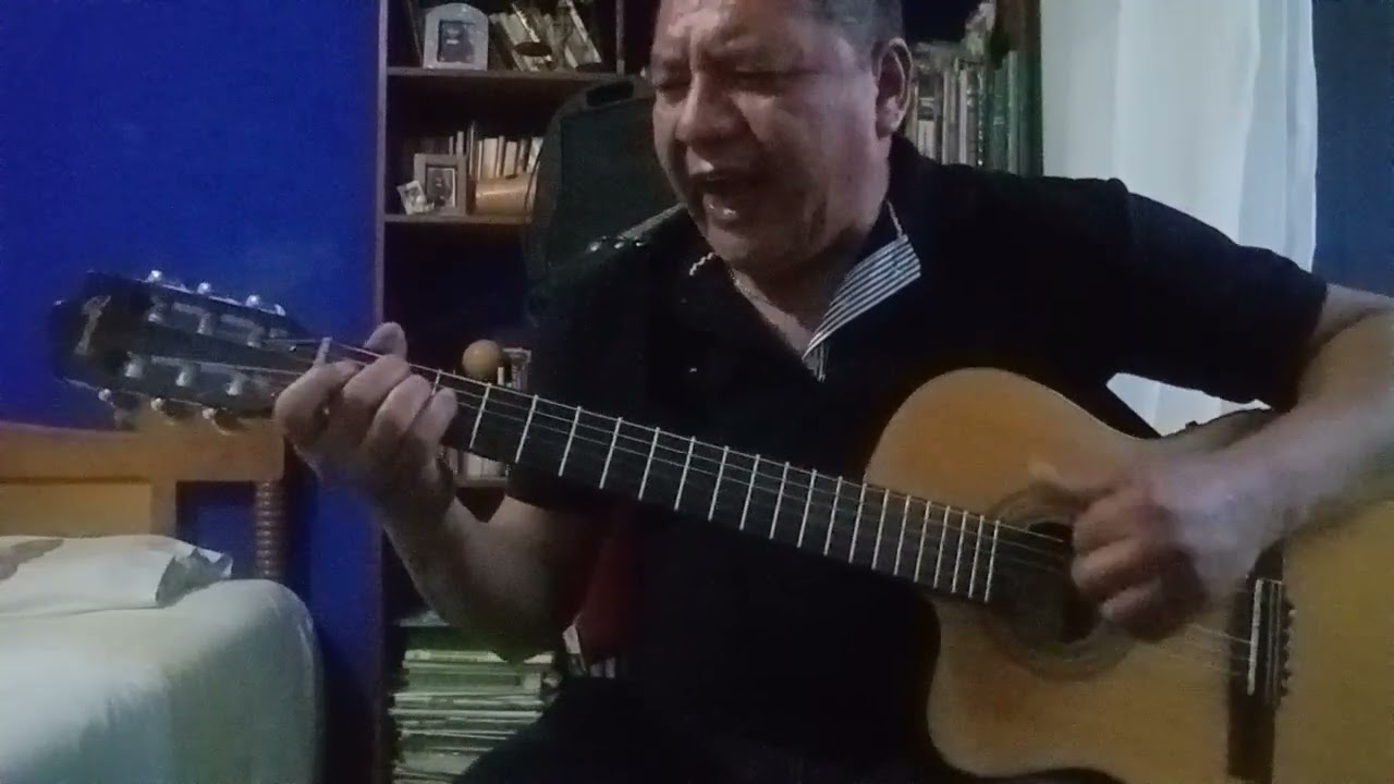 Vive de Napoleón  cover el obrero de la guitarra