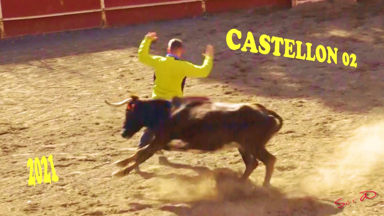 ✅2021 ALMAZORA 02 ◾ GANADERIA AlbaATenea Capea