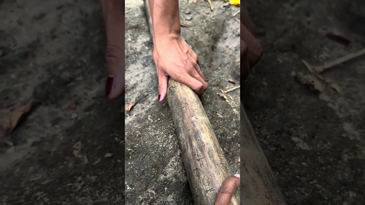 Teaching the Bamboo Fire Saw Method in the Wild