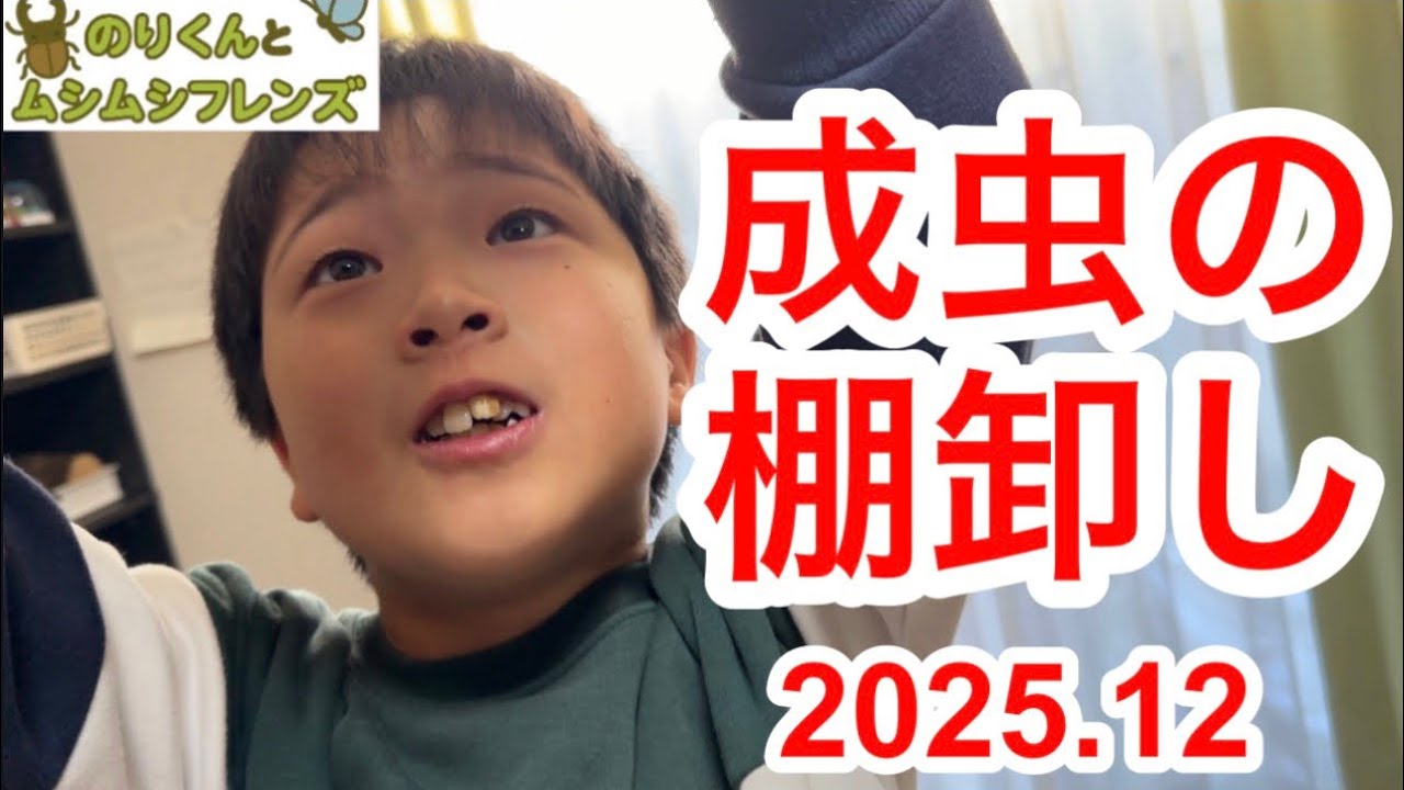 成虫の棚卸し2025.12 