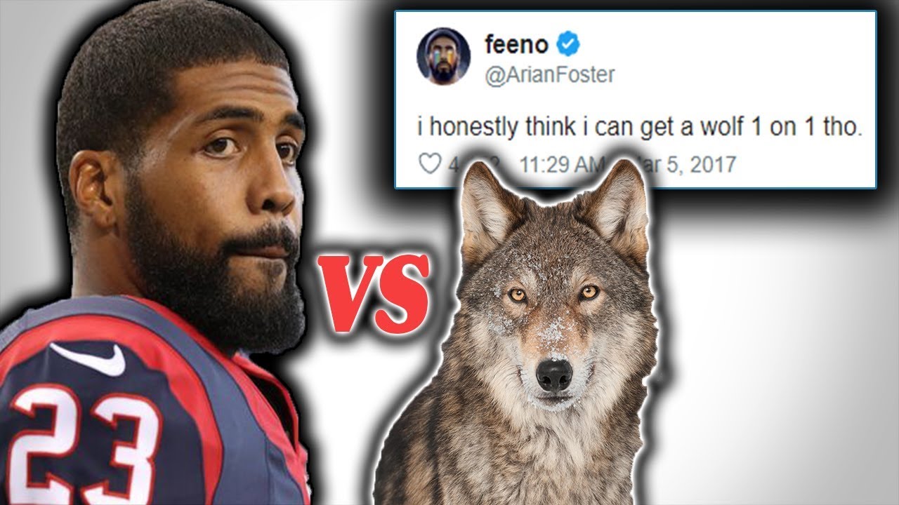 What Happened to Arian Foster? (Could He Take a Wolf 1 on 1?)