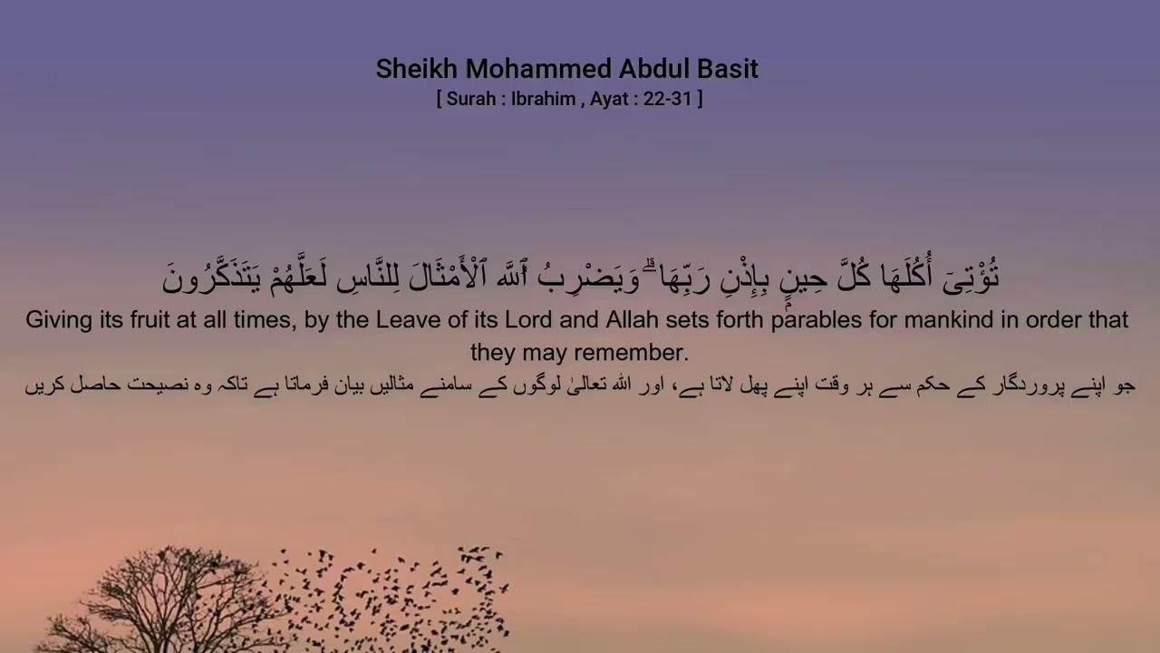 Sheikh Mohammed Abdul Basit [ Surah : Ibrahim , Ayat : 22-31 ]