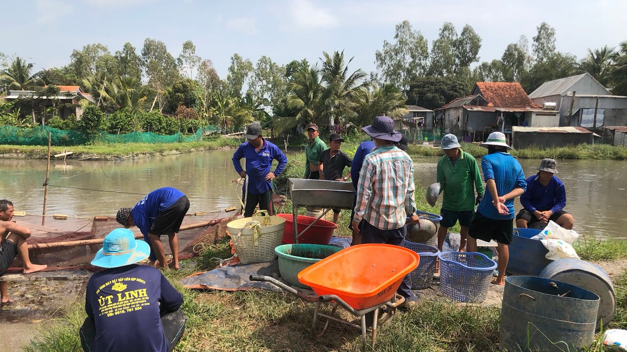 ngày 22 tháng 1, 2026