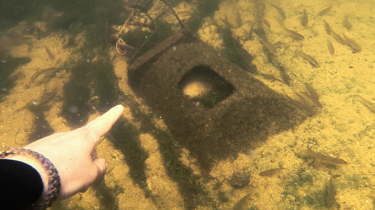 WHAT HAVE I FOUND??? Underwater treasure hunting, swan rescue.