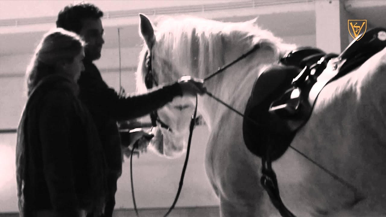 Course with Manolo Oliva - Part 1