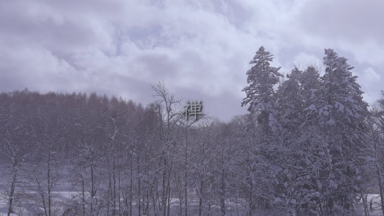 Quiet Journey | Winter Forest and Clouds — Niseko, Japan [4K]
