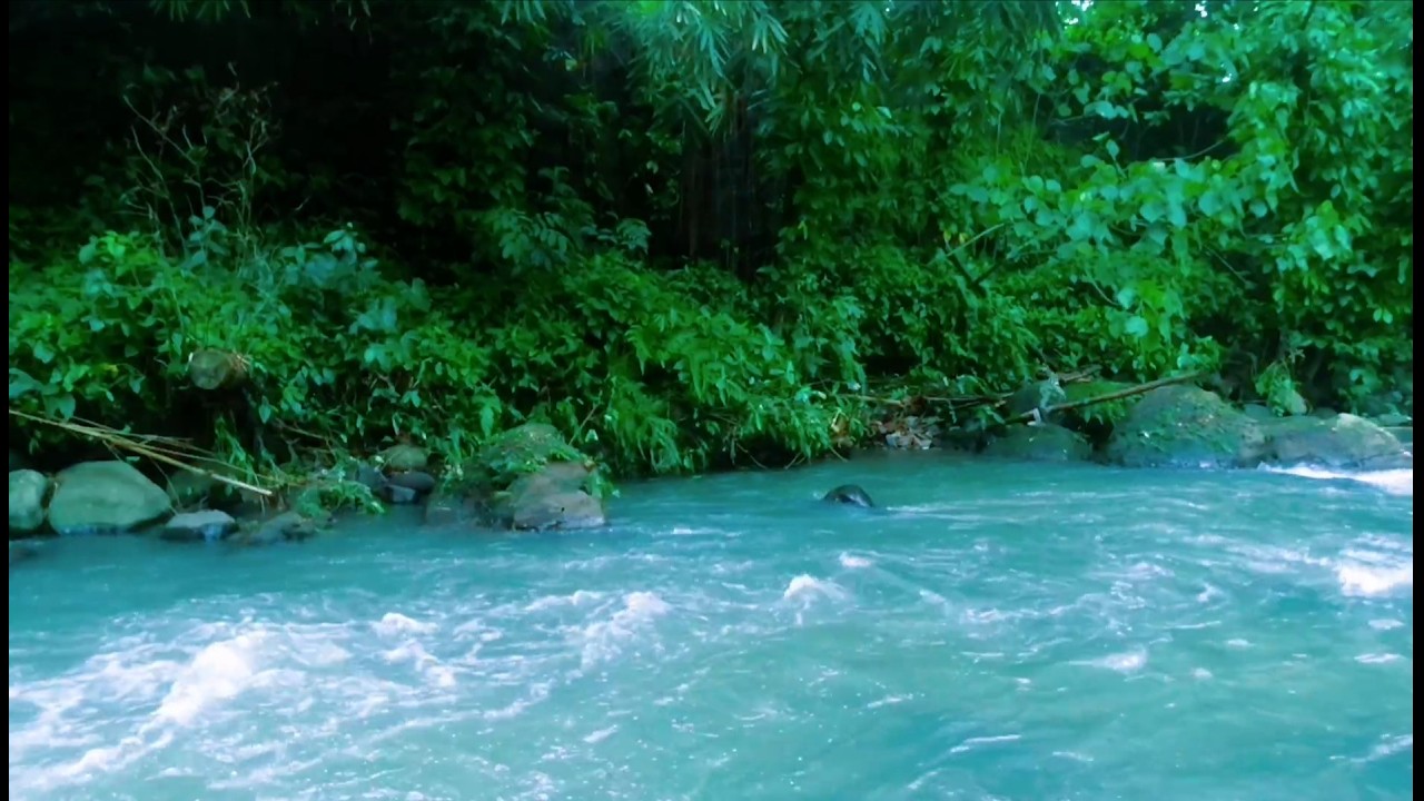 Beautiful Relaxing River  Nature Sounds Sleep Meditation Study Stress Relief Mindfulness