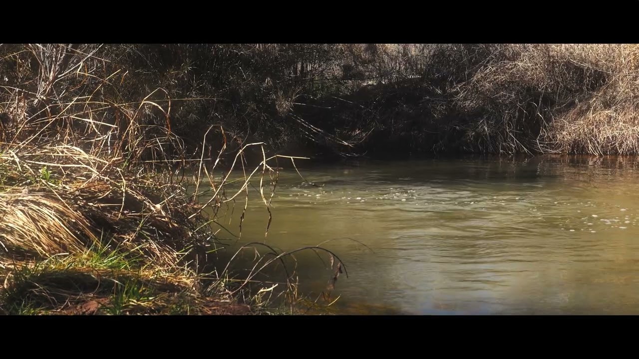 Time never stops, you just have to catch up to it