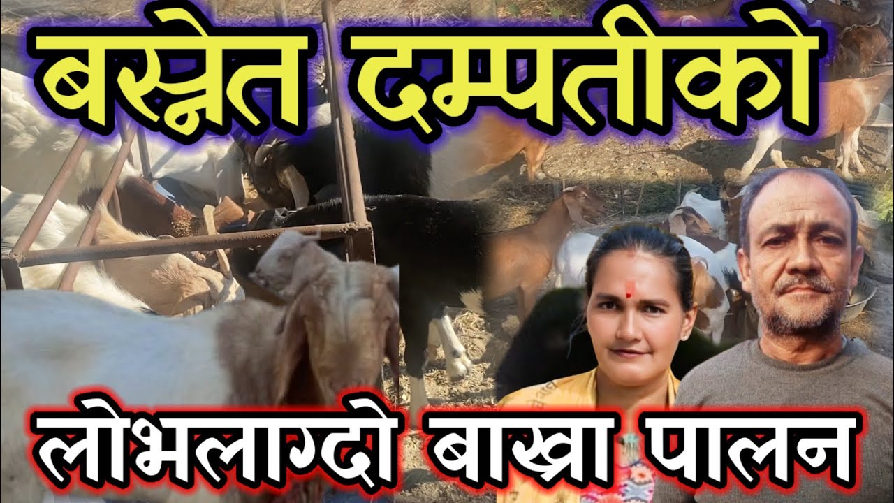 जिल्लाकै उत्कृष्ट किसान बस्नेत दम्पती !