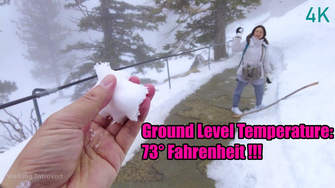 Palm Springs Aerial Tramway 2023, Palm Springs, California - 4K60
