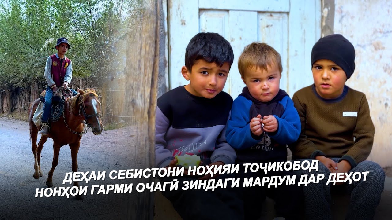 ДЕҲАИ СЕБИСТОНИ НОҲИЯИ ТОҶИКОБОД / НОНҲОИ ГАРМИ ОЧАГӢ / ЗИНДАГИ МАРДУМ ДАР ДЕҲОТ / ДАР ДЕҲА - 2025
