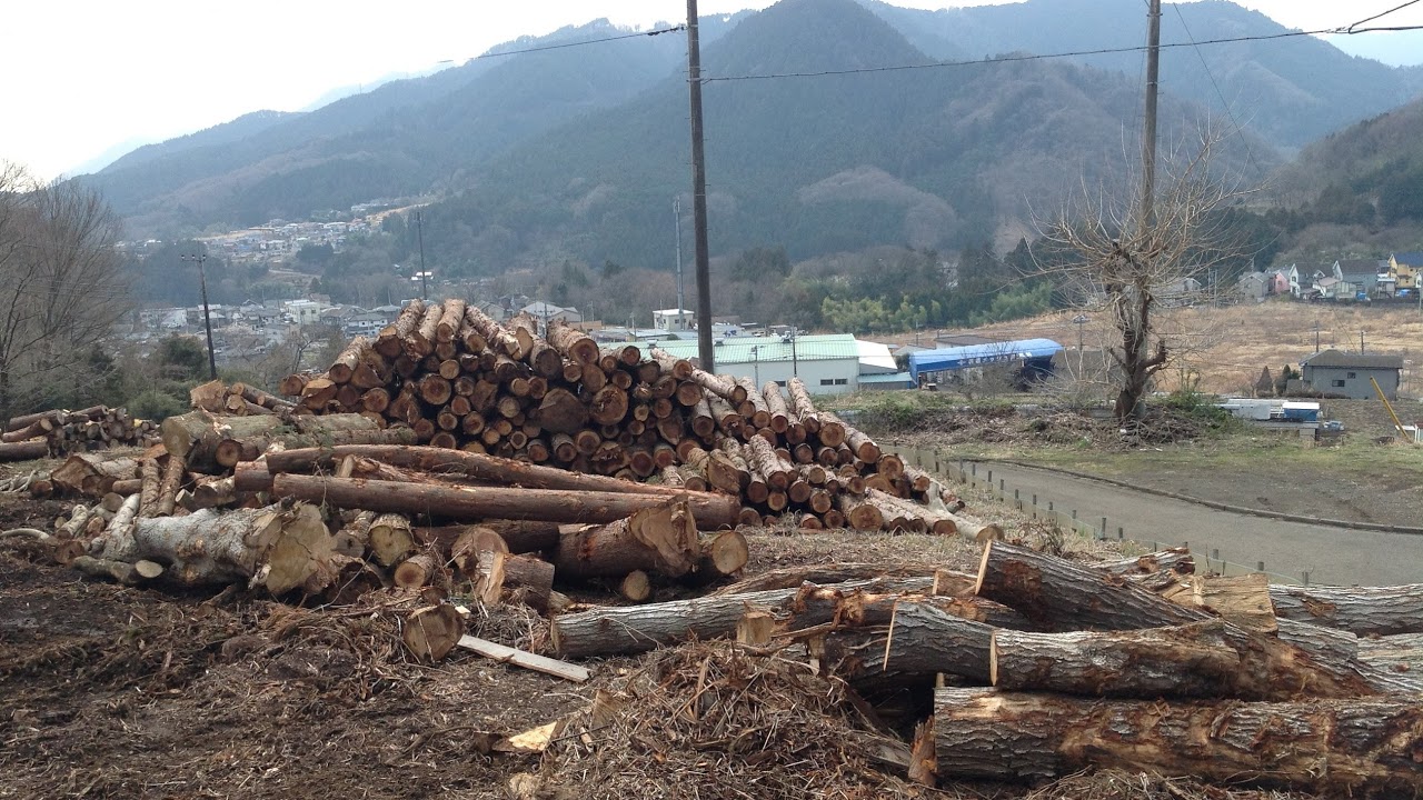神奈川県相模原市中央区ライブカメラKanagawa Sagamihara Live camera.World cam.