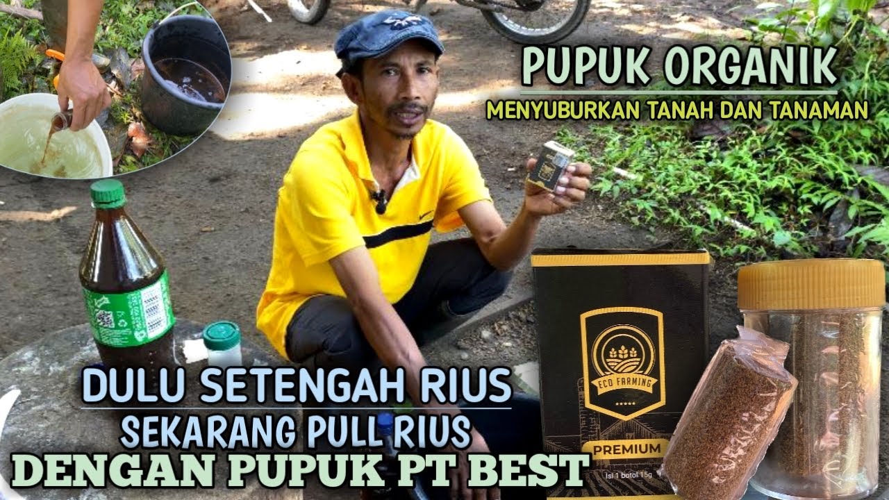 CARA MENGUNAKAN PUPUK ECO FARMING DAN MANFAAT BAGI KESUBURAN TANAH