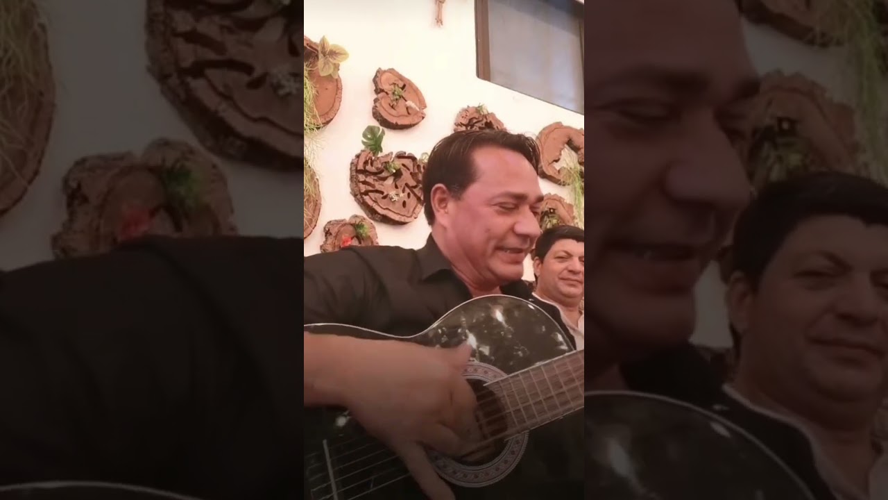 ✨👑ciganos d'ouro👑✨(chico e zé pato) Oléeee💖🎼#fypage #viral #ciganosdeouro