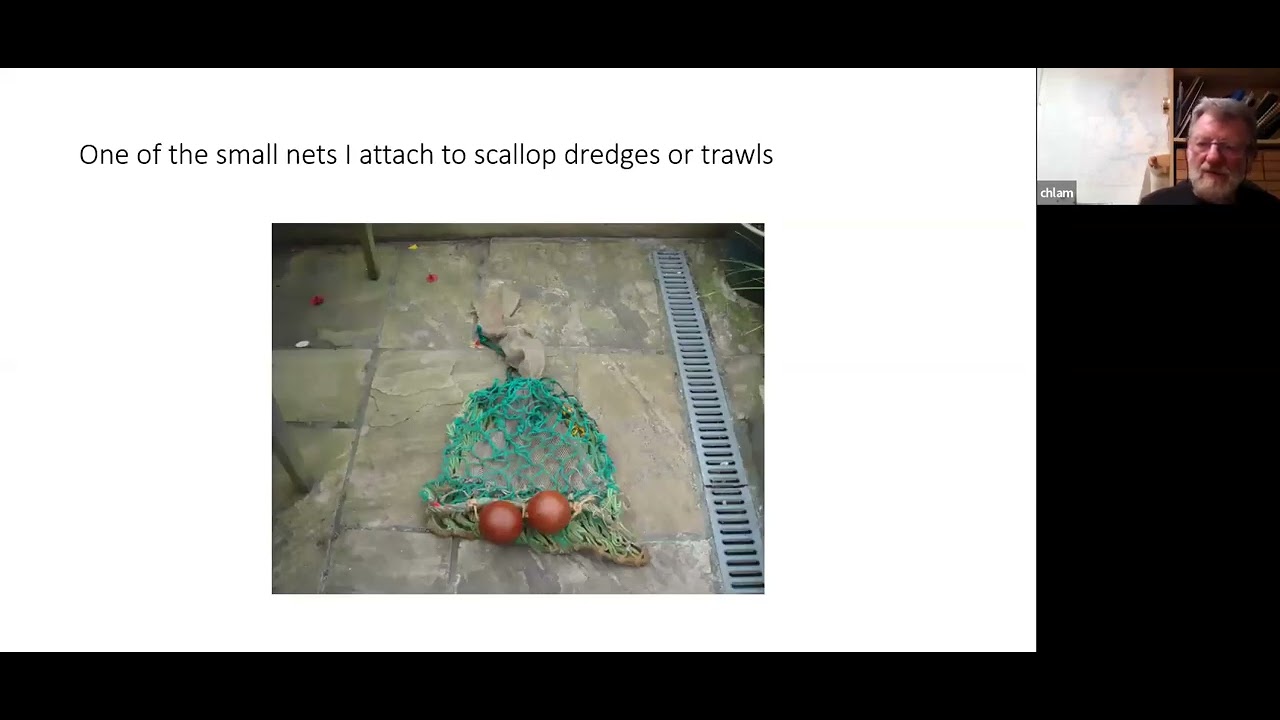 David McKay 'The role of serendipity in shell collecting' July 2023