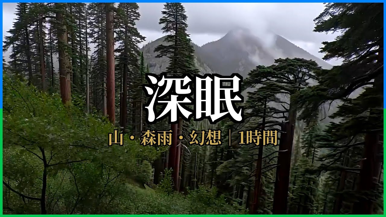 【森雨｜睡眠用BGM】深眠の山へ｜深睡眠・暗め・静か｜1時間