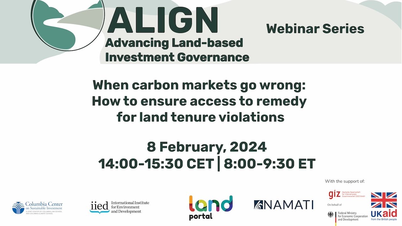 When carbon markets go wrong