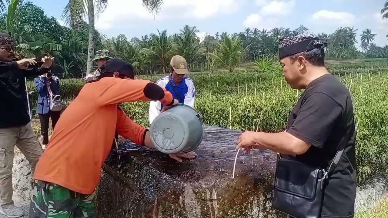 Situs Watu Dakon dsn tegalwudi desa bedewang di resmikan Dinas kebudayaan dan pariwisata Banyuwangi