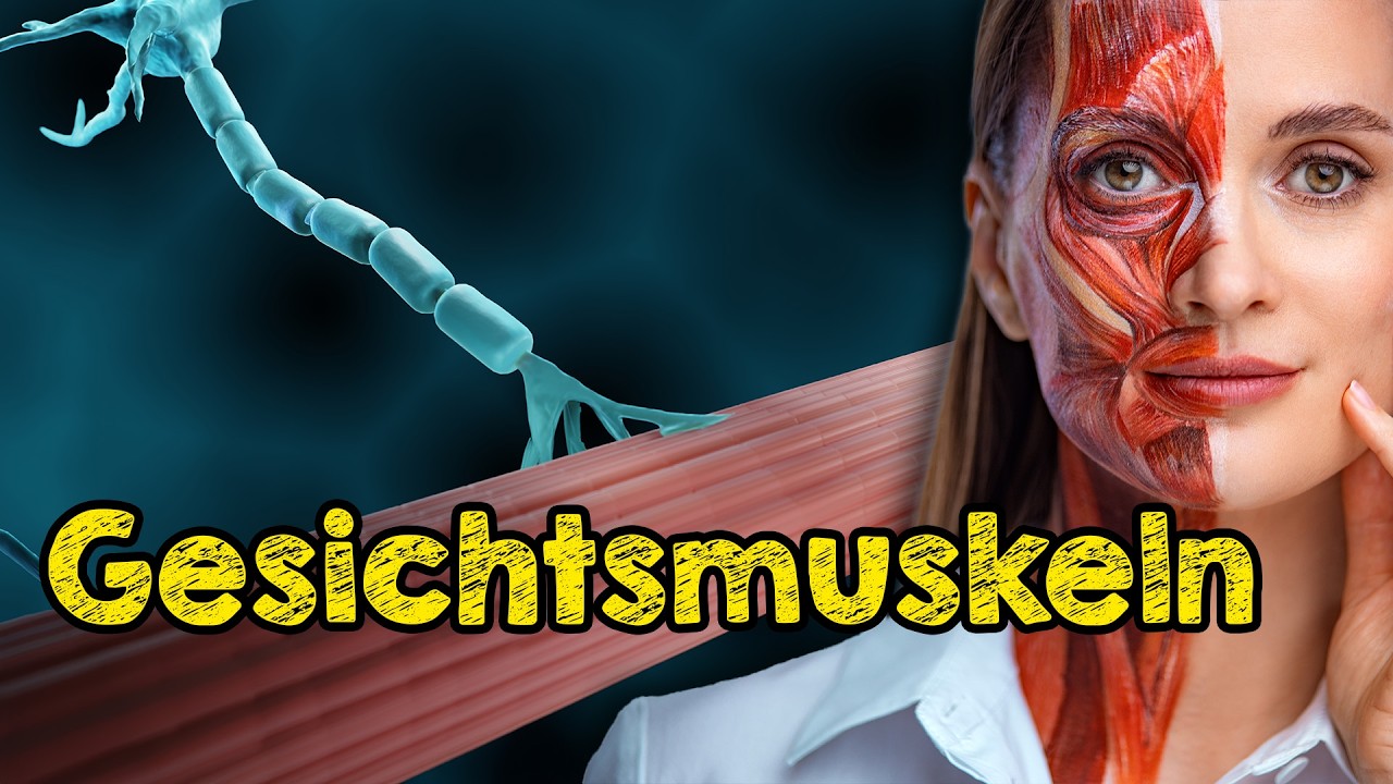 Darum sieht dein Gesicht &auml;lter aus: Muskelfunktionen, die deine Haut straffen und Symmetrie schaffen