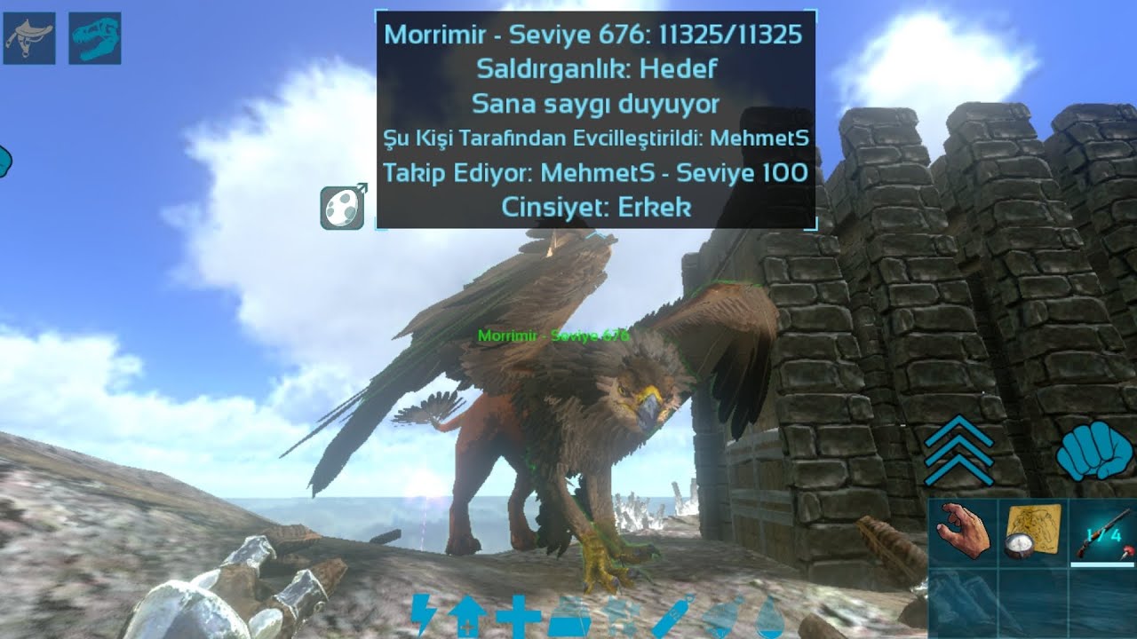 450 LVL GRİFFİN TAME (GRİF NASIL SAYGI DUYAR NASIL EVCİLLEŞİR?)