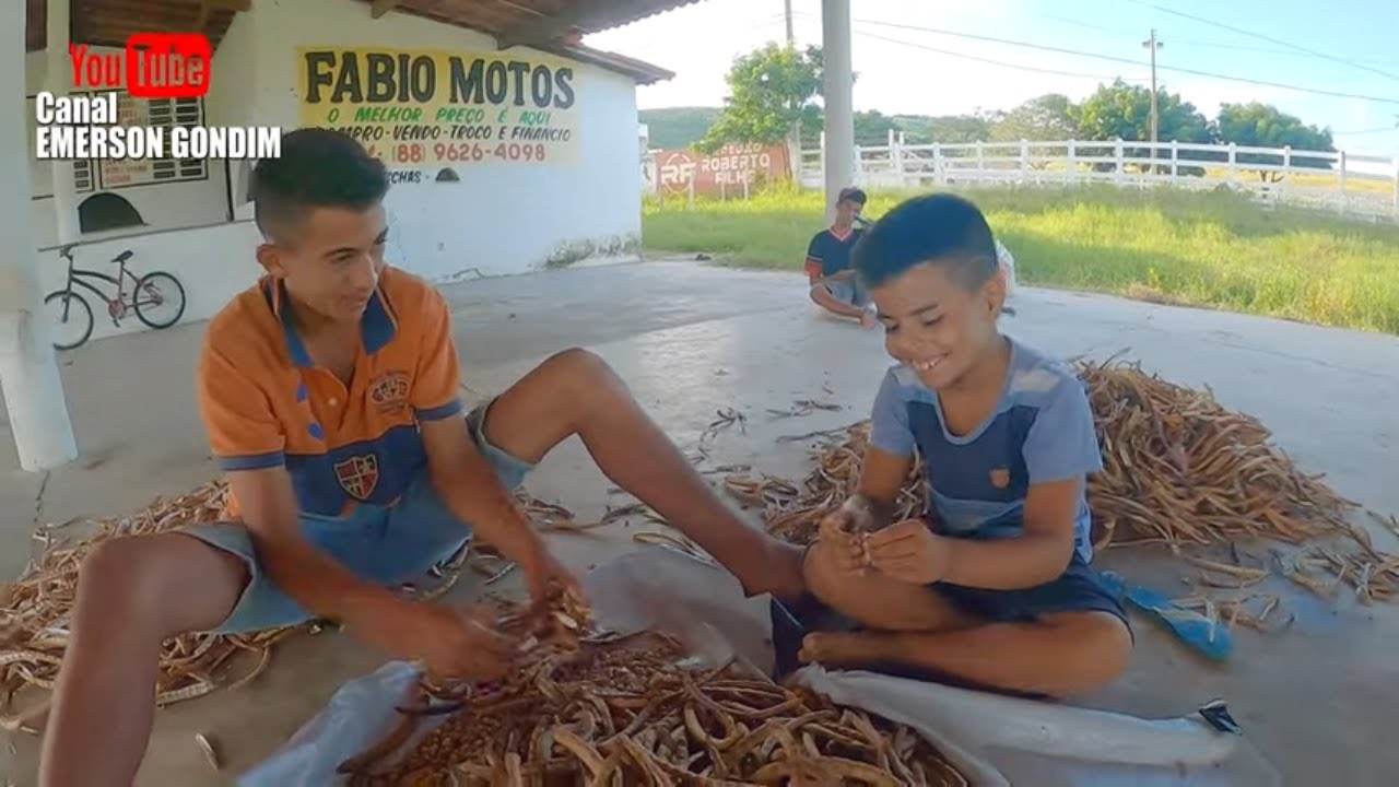 Resenha Levy e Carlim debulhando feijão no parque guarani